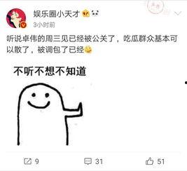 去年卓伟爆料视频大全集  第1张